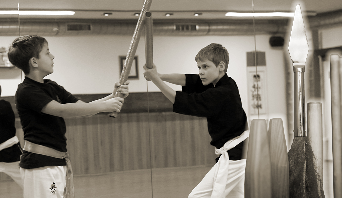 seishin kenjutsu-dojo-japanische-schwertkampfkunst-linz-wels-01